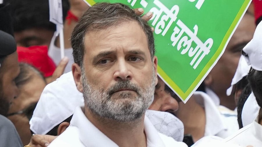 <div class="paragraphs"><p>Congress Leader Rahul Gandhi. (Representative Image)</p></div>