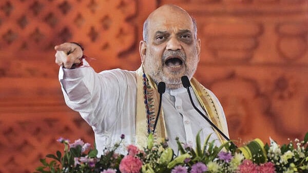 <div class="paragraphs"><p>Union Home Minister Amit Shah</p></div>