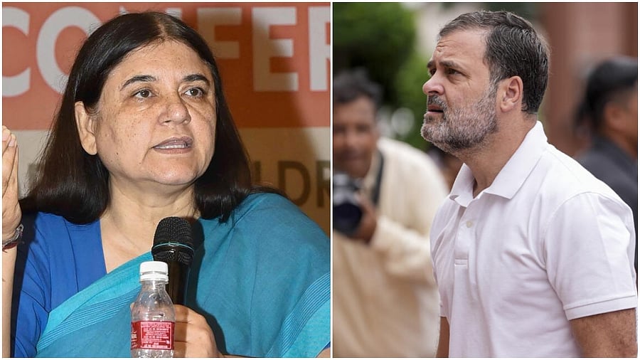<div class="paragraphs"><p>Maneka Gandhi(L), Rahul Gandhi</p></div>