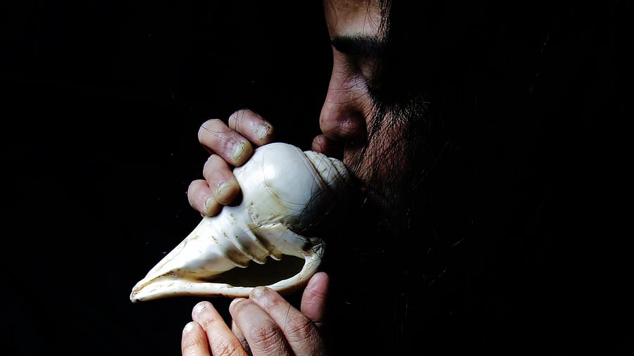 <div class="paragraphs"><p>The blowing of the conch shell creates strong vibrations and airflow resistance, which likely strengthens the muscles of the upper airway</p></div>