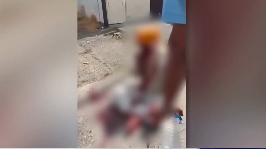 <div class="paragraphs"><p>Harpal Singh, 70, was assaulted by Bo Richard Vitagliano while he was taking his daily walk near the Sikh Gurdwara of Los Angeles on August 4. </p></div>