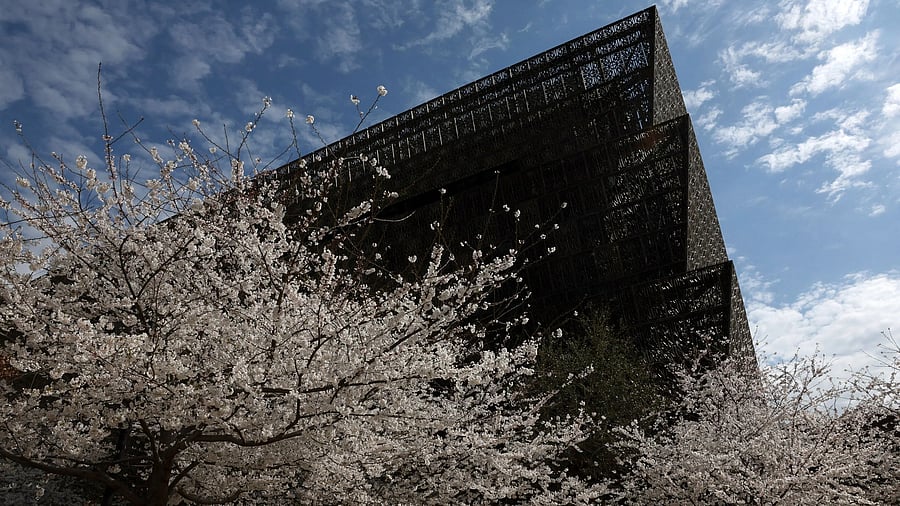 <div class="paragraphs"><p>People walk past the Smithsonian’s National Museum of African American History and Culture in Washington, DC</p></div>