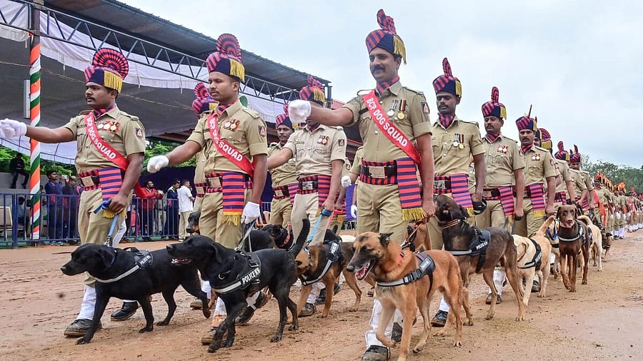 <div class="paragraphs"><p>A full dress rehearsal for the Independence Day celebrations.</p></div>