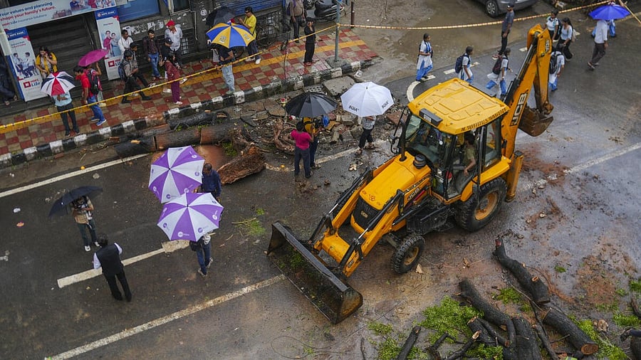 <div class="paragraphs"><p>Work underway to remove an uprooted tree which fell on a motorcycle amid rainfall, in southeast Delhi's Kalkaji area, Thursday, Aug. 14, 2025.</p></div>