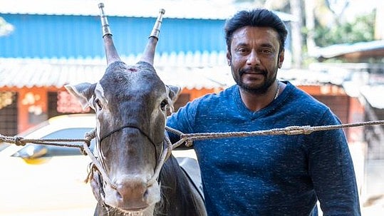 <div class="paragraphs"><p>Actor&nbsp;Darshan Thoogudeepa.</p></div>