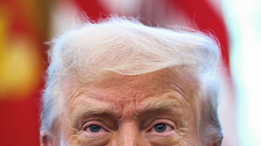 <div class="paragraphs"><p>US President Donald Trump </p></div>