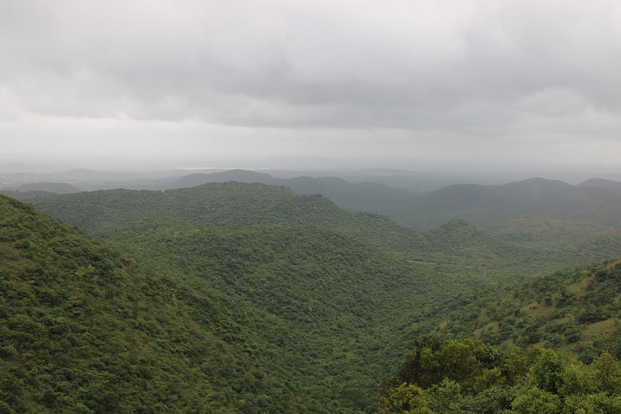 <div class="paragraphs"><p>A view of Kappatagudda.</p></div>