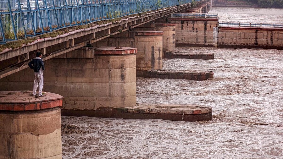 <div class="paragraphs"><p>Yamuna river</p></div>