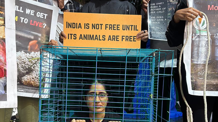 <div class="paragraphs"><p>Vegan activists during their demonstration in AECS Layout on Sunday. </p></div>