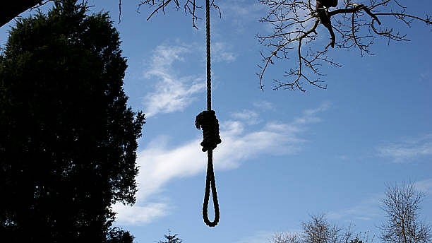 <div class="paragraphs"><p>Representative image of noose hanging from tree.</p></div>