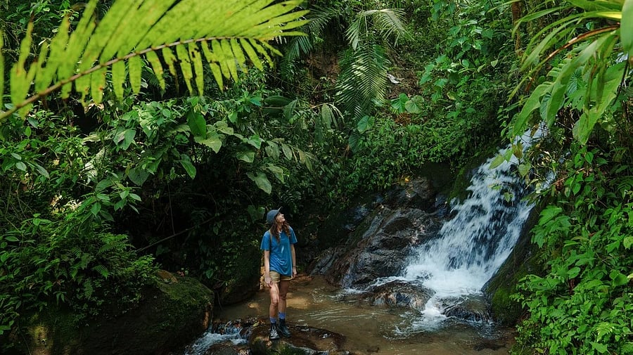 <div class="paragraphs"><p>Woman hiking in the jungles of Ecuador.</p></div>