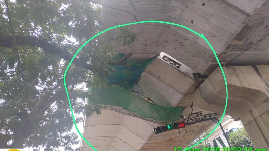 <div class="paragraphs"><p>The crack, which developed on Sunday night, created a deep hole. Top BBMP engineers rushed to the site at midnight. </p></div>