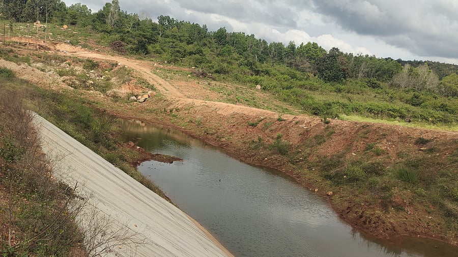 <div class="paragraphs"><p>The report had listed several violations, including taking up work in 266.55 acre of forest land without clearance from the ministry.</p></div>