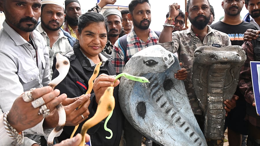 <div class="paragraphs"><p>Members of the Wildlife Conservation Welfare Association staged a protest at Freedom Park on Tuesday.</p></div>
