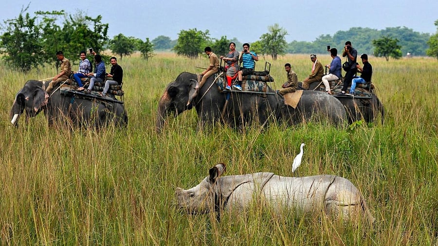 <div class="paragraphs"><p>File photo showing people alongside wildlife.</p></div>