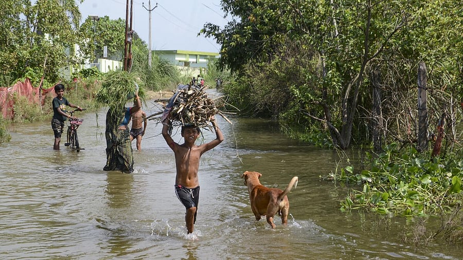 <div class="paragraphs"><p>Ganga river water</p></div>