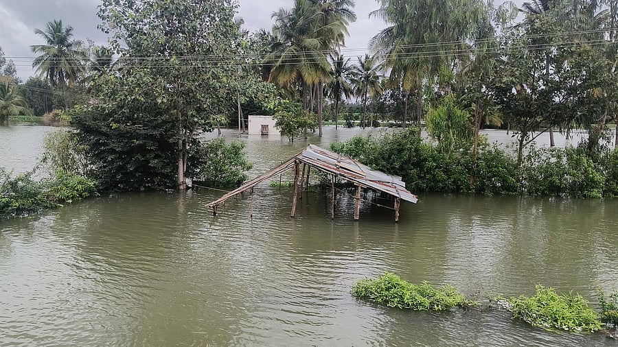 <div class="paragraphs"><p>Vast tracts of agricultural land are flooded by the swollen&nbsp;River Cauvery in Kollegal taluk of Chamarajanagar district on Tuesday.  </p></div>