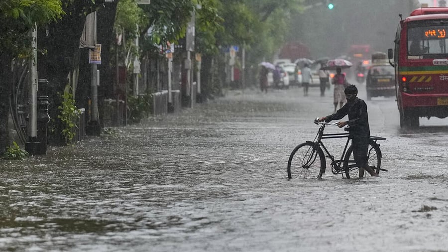 <div class="paragraphs"><p>A man with a bicycle wades through a waterlogged road following rainfall, at Dadar, in Mumbai</p></div>