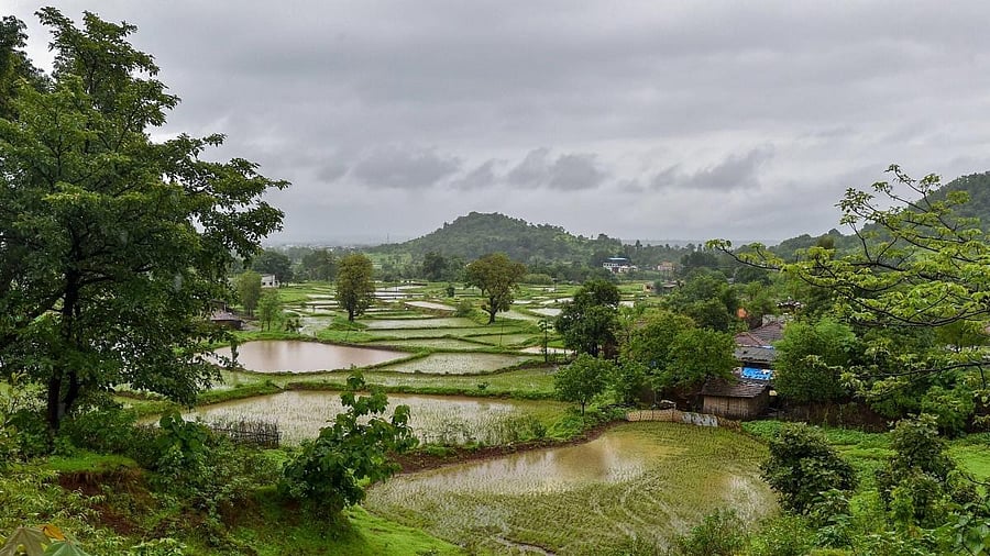 <div class="paragraphs"><p>Maharashtra's Tamhini mountain pass, Matheran hill station receives massive rainfall</p></div>