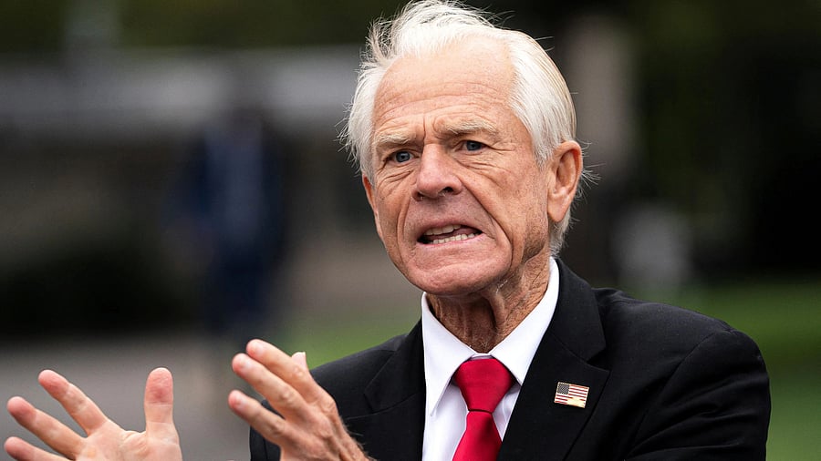 <div class="paragraphs"><p>White House trade advisor Peter Navarro.</p></div>
