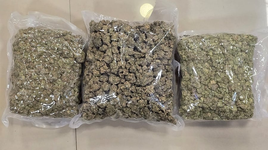 <div class="paragraphs"><p>The drugs that were seized by DRI officials. </p></div>
