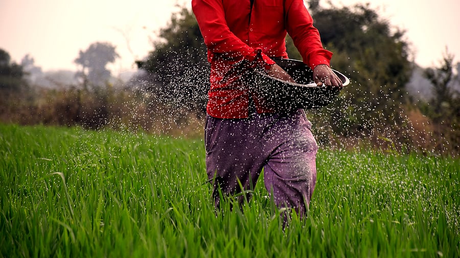 <div class="paragraphs"><p>Representative image showing a farmer.</p></div>