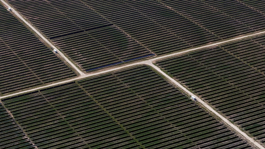 <div class="paragraphs"><p>An aerial view shows rows of solar panels at a solar farm.</p></div>