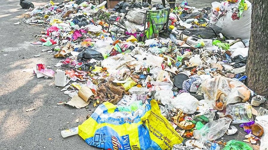 <div class="paragraphs"><p>Household waste getting dumped on roads is a common sight in Bengaluru. </p></div>