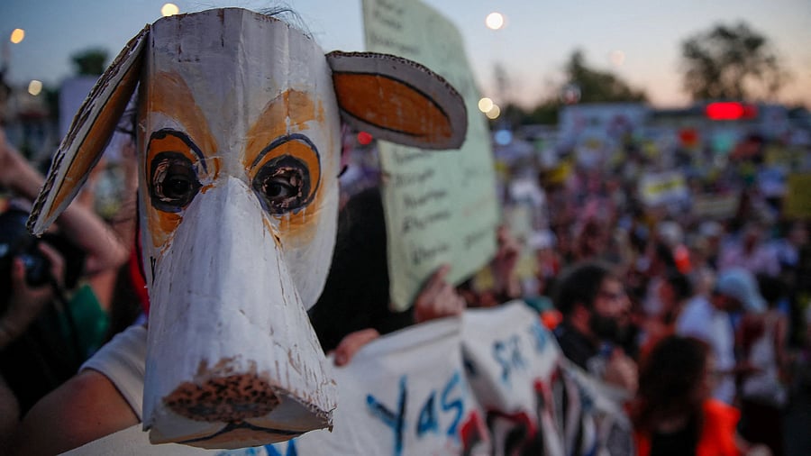 <div class="paragraphs"><p>A masked animal rights activist takes part in a rally to protes.</p></div>