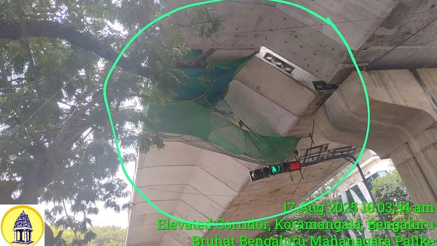 <div class="paragraphs"><p>A crack had appeared in a concrete segment of the under-construction Ejipura flyover. A BBMP chief engineer had said that the alignment was not done correctly. </p></div>