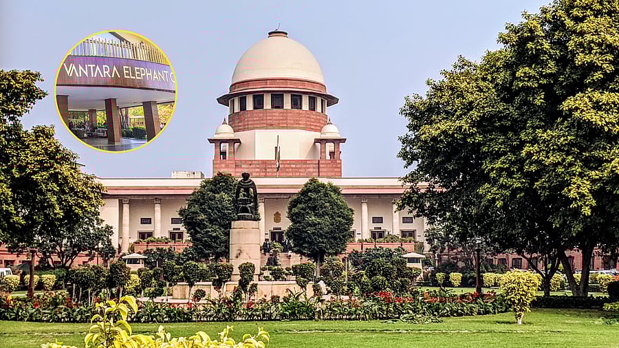 <div class="paragraphs"><p>Supreme court of India image; inset&nbsp;Vantara photo.</p></div>