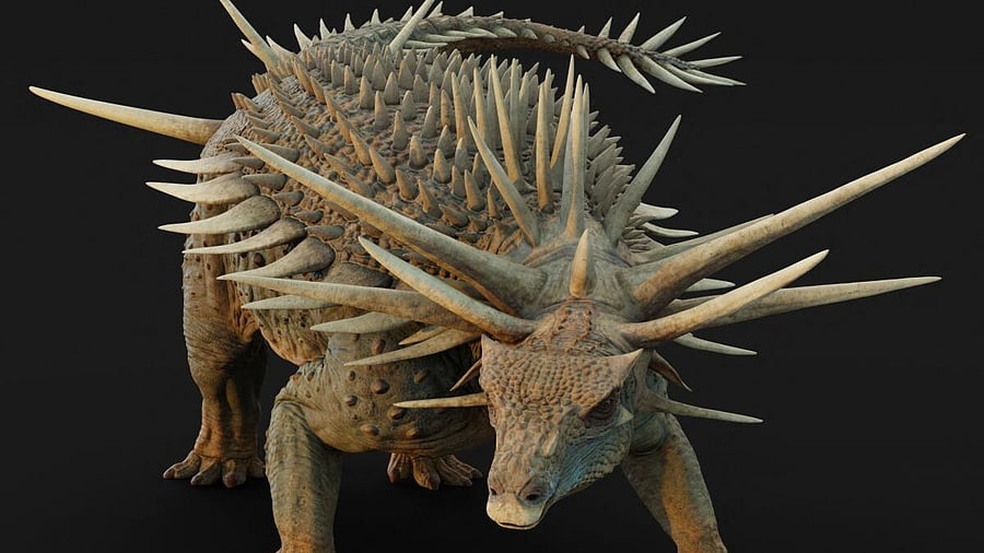 <div class="paragraphs"><p>Artistic reconstruction of the ankylosaur Spicomellus afer, based on fossils found in the Atlas Mountains of Morocco.</p></div>