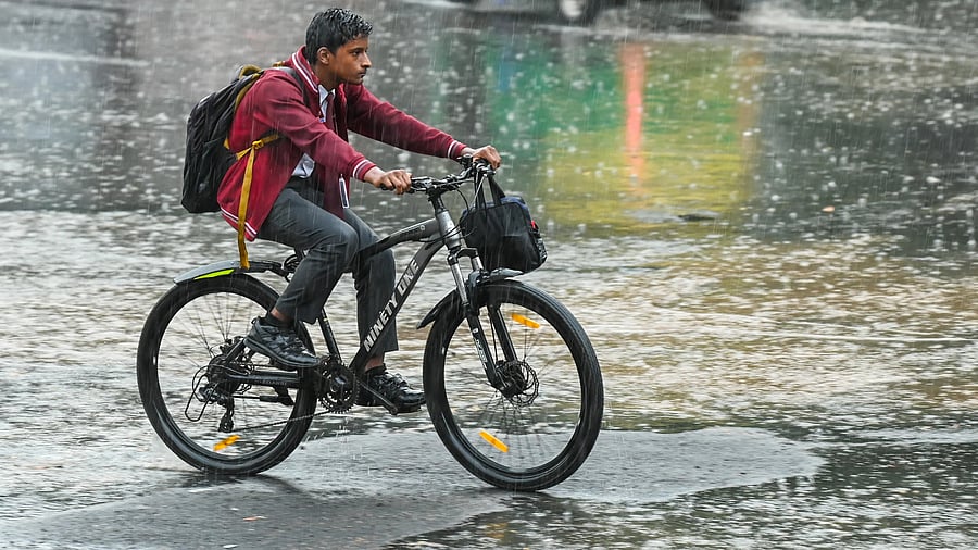 <div class="paragraphs"><p>A boy braves the heavy rain and carries on cycling at SJP Road on Thursday. </p></div>