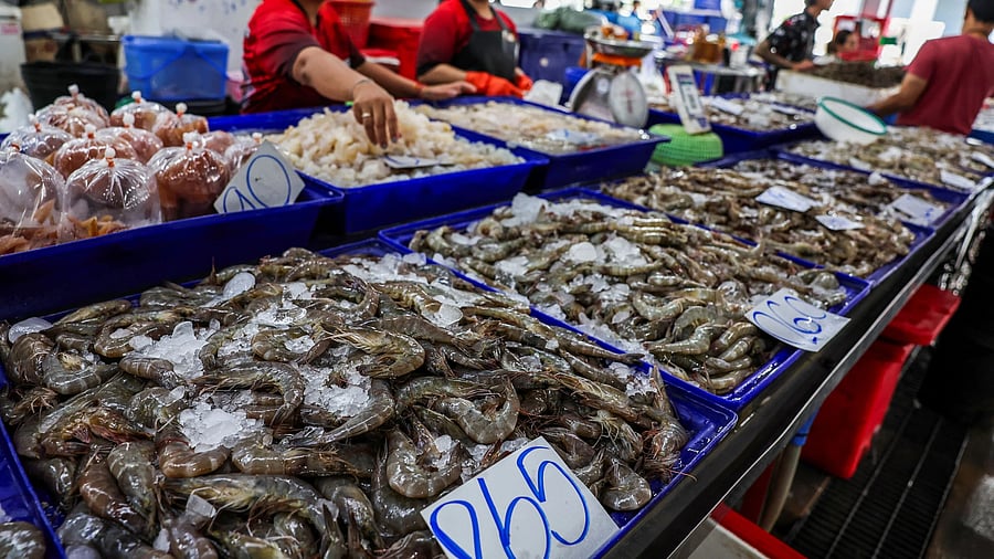 <div class="paragraphs"><p>Seafood at a wholesale market.</p></div>