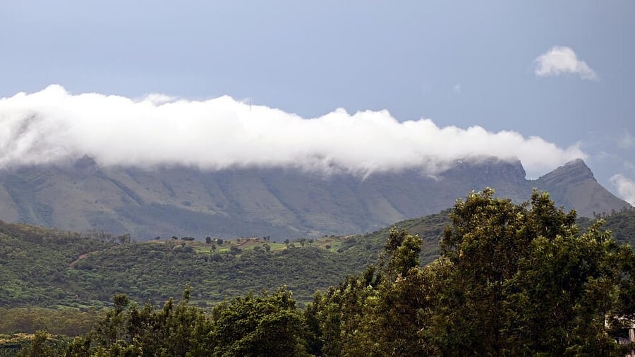 <div class="paragraphs"><p>A picturesque view of Mullayanagiri hills in Chikkamagaluru.</p></div>