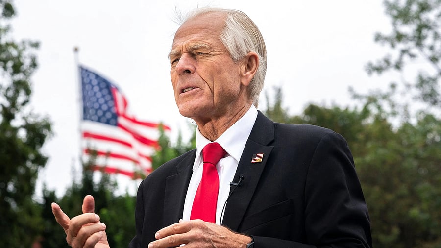 <div class="paragraphs"><p>White House trade advisor Peter Navarro.</p></div>