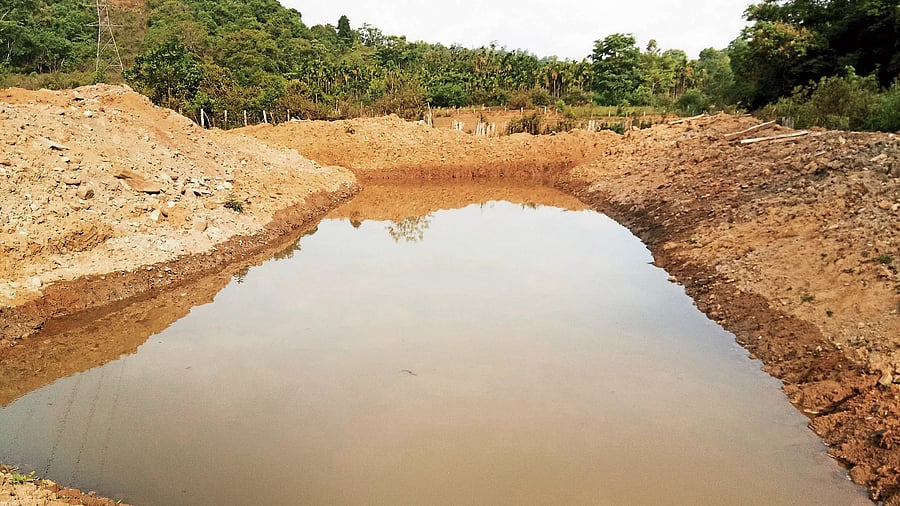 Depending on the nature of the soil, farm ponds can store 1.56 lakh litres to 11.43 lakh litres of water.