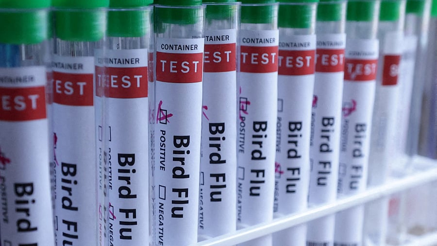 <div class="paragraphs"><p>Test tubes are seen labelled "Bird Flu".</p></div>