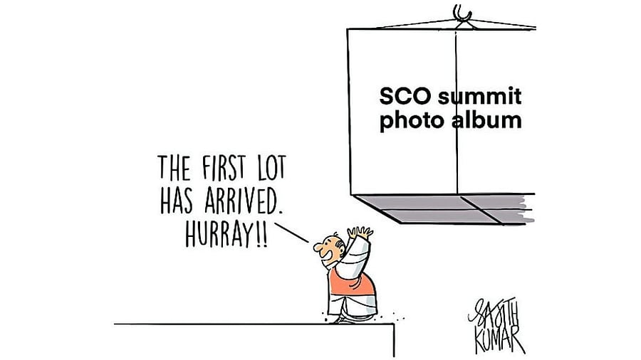 <div class="paragraphs"><p>Credit: Sajith Kumar</p></div>