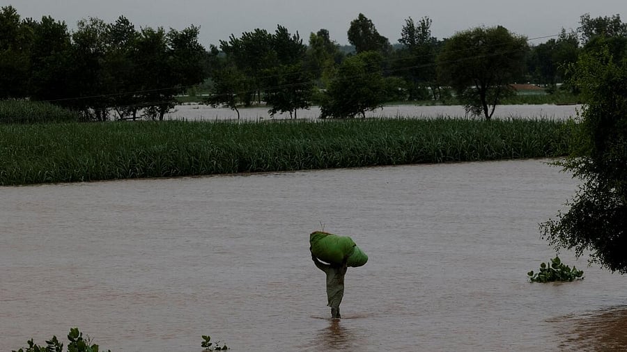<div class="paragraphs"><p>A man carries a sack of fodder on his head as he walks along a flooded road, following monsoon rains and rising water levels of the Chenab River, in Patraki village, Chiniot district, Punjab province, Pakistan, August 30, 2025.</p></div>