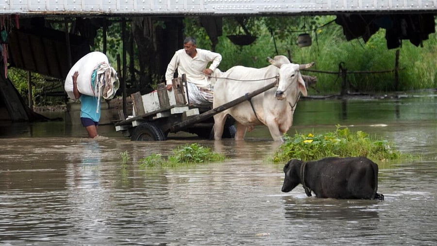 <div class="paragraphs"><p>People make their way as the Yamuna river crosses the danger mark following incessant rainfall, in Wazirabad area, New Delhi.</p></div>