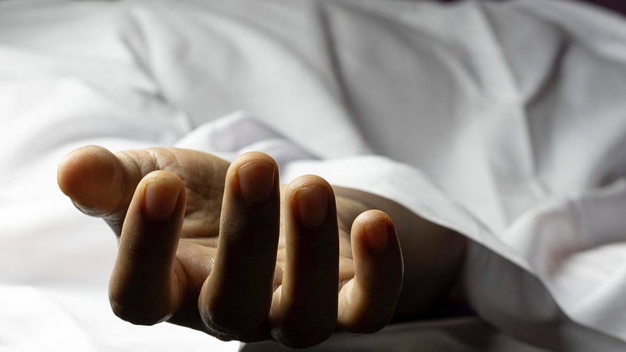 <div class="paragraphs"><p>Representative image</p></div>