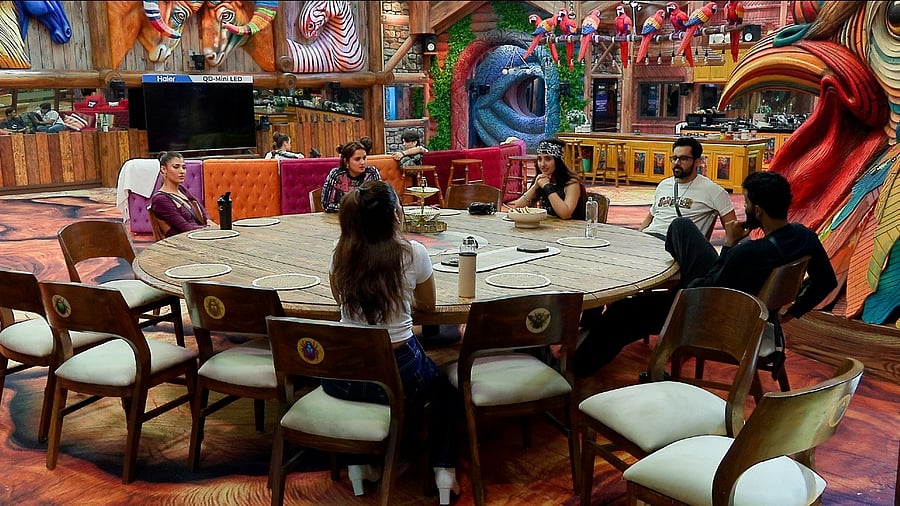 <div class="paragraphs"><p>Bigg Boss 19.</p></div>