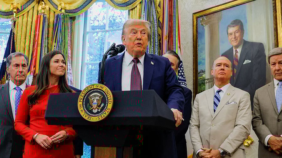 <div class="paragraphs"><p>US President Donald Trump</p></div>