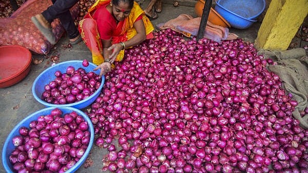 <div class="paragraphs"><p>A labourer spreads onions.</p></div>
