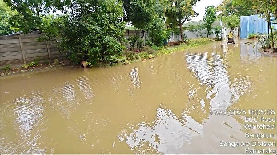 <div class="paragraphs"><p>The flooded premises of the apartment complex. </p></div>