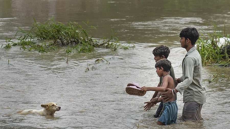 <div class="paragraphs"><p>Children make their way as the Yamuna River has risen and crossed the danger mark after incessant heavy rainfall, near Loha Pul (Old Iron Bridge), in New Delhi, Tuesday, Sep. 02, 2025.</p></div>