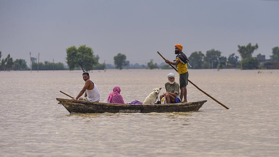 <div class="paragraphs"><p>Locals along with a dog ride a boat to move through a flooded area</p></div>