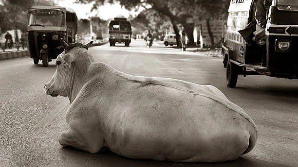 <div class="paragraphs"><p>Image for representational purposes.</p></div>