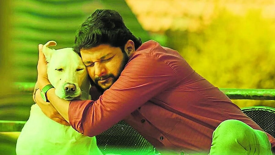 <div class="paragraphs"><p>Rakesh Adiga with Simba.</p></div>